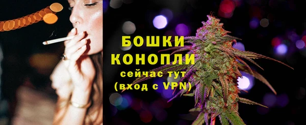 ешки Корсаков