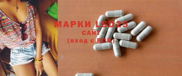 ешки Корсаков