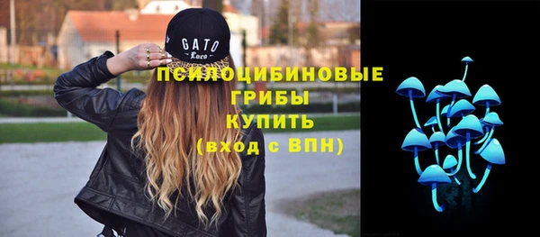 ешки Корсаков
