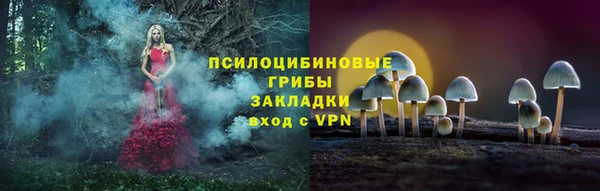 apvp Волгодонск