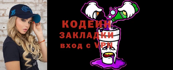ешки Корсаков