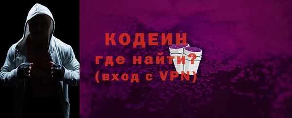 ешки Корсаков