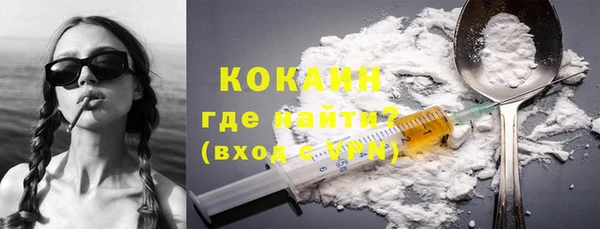 ешки Корсаков