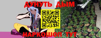 шишки Абинск