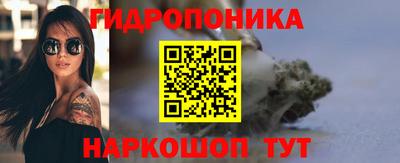 шишки Абинск