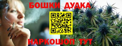 стаф Новодвинск