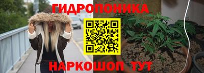 каннабис Новозыбков