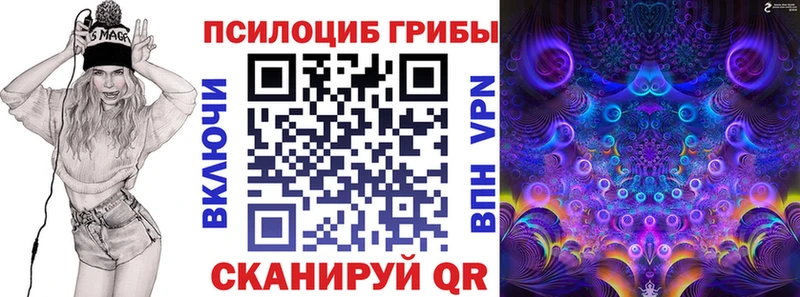 наркотики  Павловский Посад  Галлюциногенные грибы MAGIC MUSHROOMS 