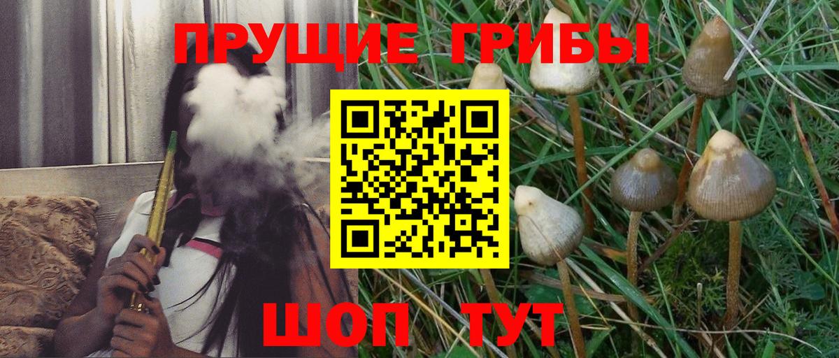 Псилоцибиновые грибы Psilocybine cubensis  Галлюциногенные грибы GOLDEN TEACHER  Вход с VPN  Павловский Посад 